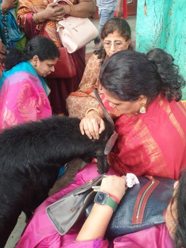 Visit to Maa Kamakhya Shakti Peeta — photograph 10