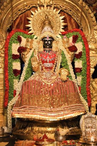 Visit to Shripuram and Kanchipuram — photograph 5