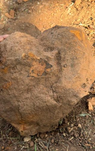 WhatsApp-Image-2026-02-19-at-3.36.34-PM